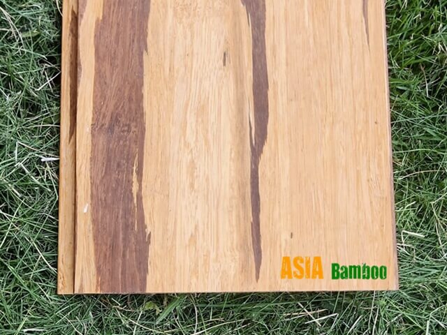 Pisos Vidoe-ASIA Bamboo.mp4