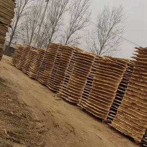 Paneles de madera contrachapada de paulownia maciza