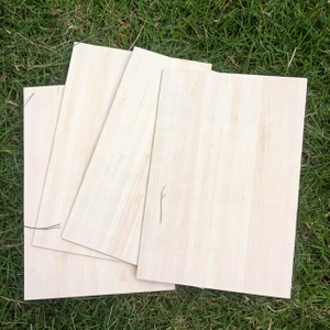 Multiplicar el panel de chapa de bambú vertical natural